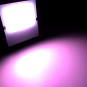 morepic-3
